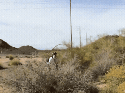 A Man In A White Shirt Is Fishing In A Field GIF