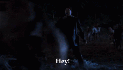 A Man In A White Shirt Says Looks To Me Like You 'Re On The Wrong Side Of The River GIF