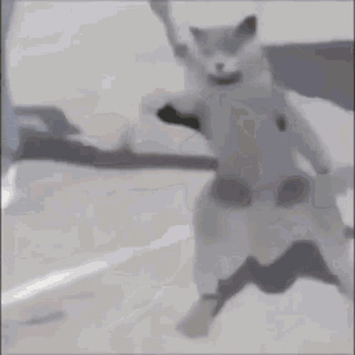 A Man In A White Shirt With A Picture Of A Bear Stands Next To A Dog GIF