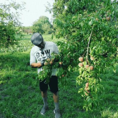A Man In A White Shirt With The Letter W On It GIF