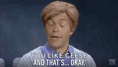 A Man In A Wig Is Saying `` You Like Geese And That 'S Okay . '' GIF