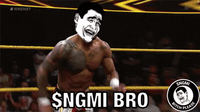 A Man In A Wrestling Ring With The Words Sngmi Bro On The Bottom GIF
