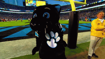 A Man In A Yellow Jacket Stands Next To A Mascot On A Football Field GIF