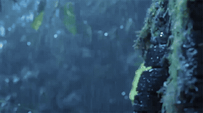 A Man In A Yellow Raincoat Is Standing In The Rain . GIF