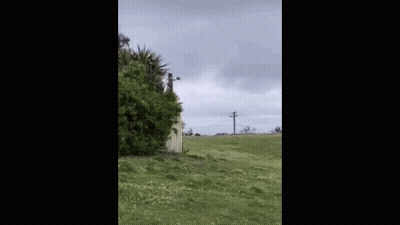 A Man In A Yellow Suit Is Standing In A Field . GIF