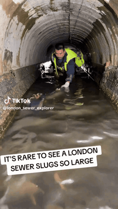 A Man In A Yellow Vest Is Crawling Through A Sewer GIF