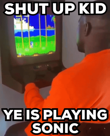 A Man In An Orange Shirt Is Playing Sonic The Hedgehog On A Video Game GIF