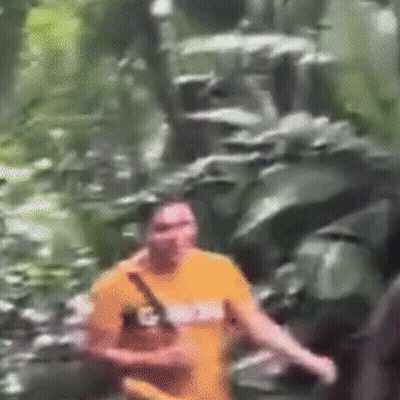 A Man In An Orange Shirt Is Walking Through A Forest GIF