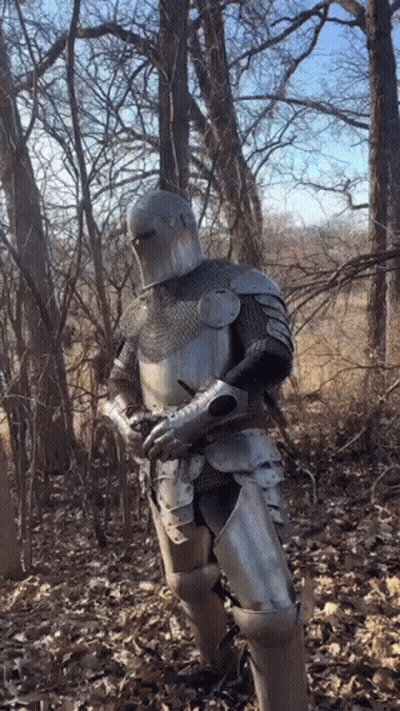 A Man In Armor Is Standing In The Woods Holding A Sword GIF
