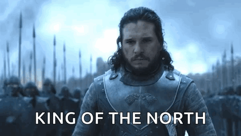 A Man In Armor With The Words `` King Of The North '' Written On The Bottom . GIF