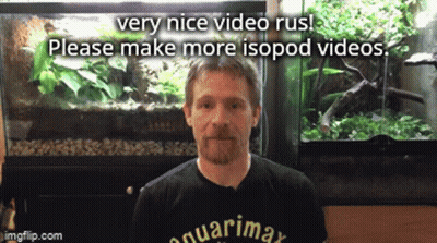 A Man In Front Of An Aquarium With The Words " Very Nice Video Rus Please Make More Isopod Videos " Below Him GIF