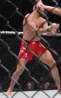 A Man In Red Shorts Is Fighting Another Man In A Boxing Cage . GIF