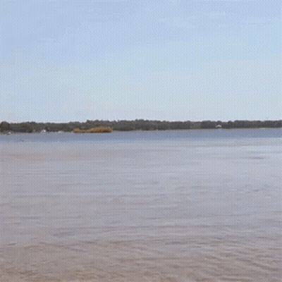 A Man In Shorts Is Running Into The Water GIF