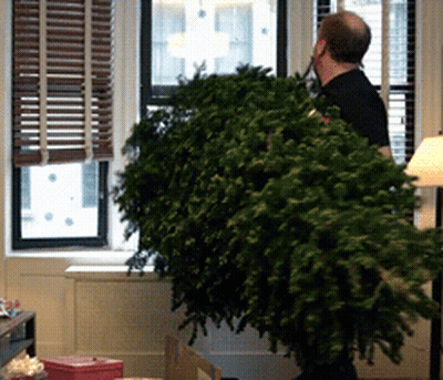 A Man Is Carrying A Christmas Tree In A Box GIF