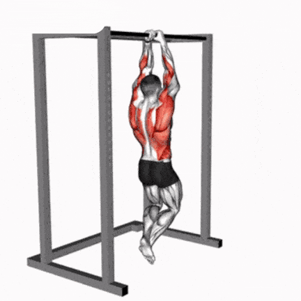 A Man Is Doing A Pull Up On A Bar With His Back Visible . GIF
