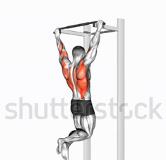 A Man Is Doing A Pull Up On A Bar With Muscles Highlighted . GIF