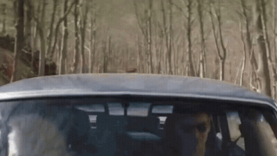 A Man Is Driving A Car Through A Forest GIF