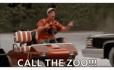 A Man Is Driving A Golf Cart And Pointing At A Car . GIF