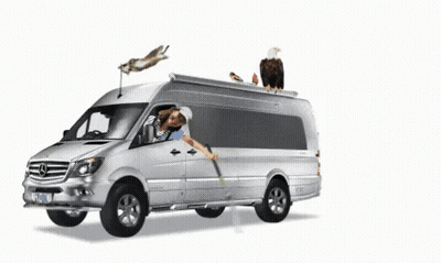 A Man Is Driving A Van With An Eagle And A Rabbit On The Roof GIF