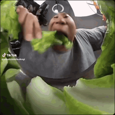 A Man Is Eating Lettuce With A Tiktok Hashtag GIF