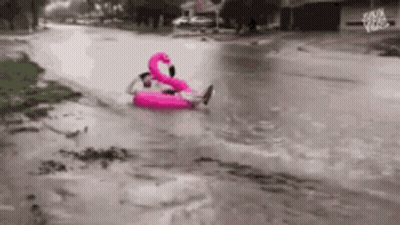 A Man Is Floating On A Pink Flamingo Float In The Water . GIF