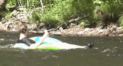 A Man Is Floating On A Tube In The Water GIF