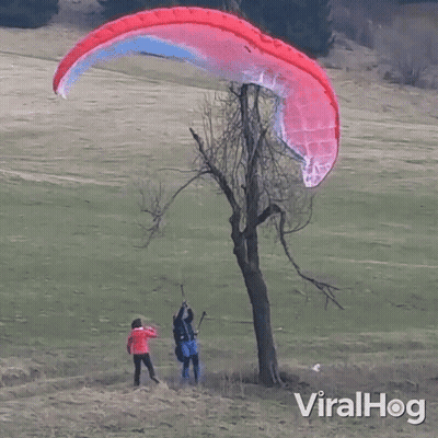 A Man Is Flying A Parachute Over A Tree In A Field With Viralhog Written On The Bottom GIF