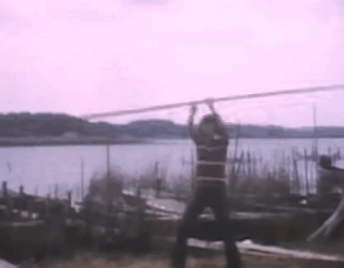 A Man Is Hanging From A Rope Overlooking A Body Of Water . GIF
