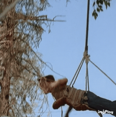 A Man Is Hanging From A Rope Swing With A Tree In The Background GIF