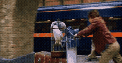 A Man Is Holding A Bird In A Cage In Front Of A Train .. GIF