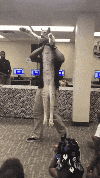 A Man Is Holding A Cat On His Shoulders In Front Of A Crowd Of People GIF