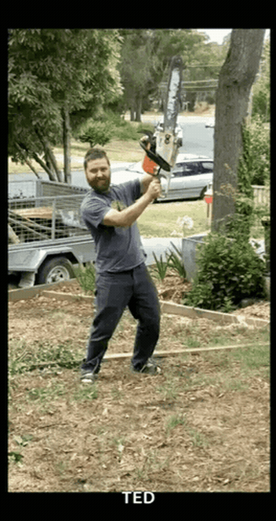 A Man Is Holding A Chainsaw In A Yard And The Name Ted Is On The Bottom GIF