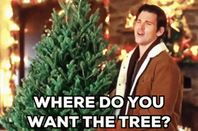 A Man Is Holding A Christmas Tree And Asking Where Do You Want The Tree ? GIF