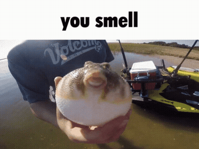 A Man Is Holding A Fish That Says You Smell GIF