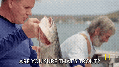 A Man Is Holding A Fish With The Words Are You Sure That 'S Trout GIF
