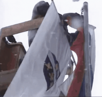 A Man Is Holding A Flag On Top Of A Pole In The Air . GIF