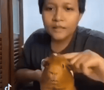 A Man Is Holding A Guinea Pig In His Hands And Looking At It . GIF