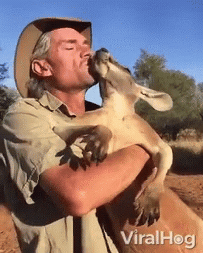 A Man Is Holding A Kangaroo And Kissing It On The Nose . GIF
