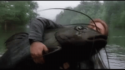 A Man Is Holding A Large Catfish In His Hands . GIF