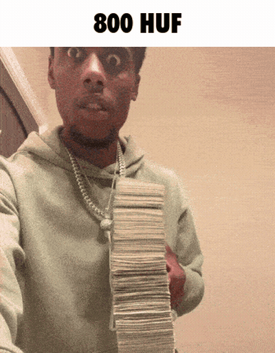 A Man Is Holding A Large Stack Of Money With The Words 800 Huf Above Him GIF