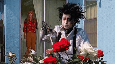 A Man Is Holding A Pair Of Scissors In Front Of A Bunch Of Roses . GIF