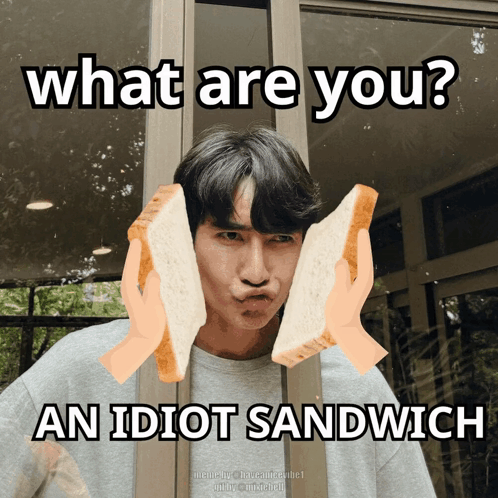 A Man Is Holding A Piece Of Bread In Front Of His Face With The Caption " What Are You An Idiot Sandwich " GIF
