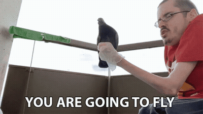 A Man Is Holding A Pigeon On A Balcony With The Words You Are Going To Fly Below Him GIF