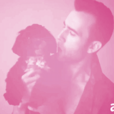 A Man Is Holding A Small Black Dog In His Arms With A Pink Background GIF