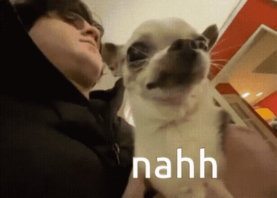 A Man Is Holding A Small Dog With The Word Nahh Written On It GIF
