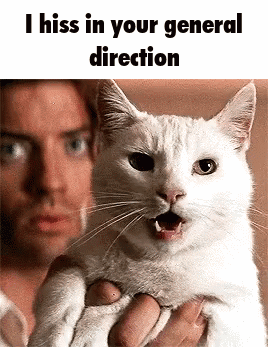A Man Is Holding A White Cat In Front Of His Face With The Caption I Hiss In Your General Direction . GIF