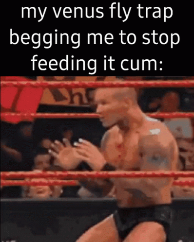 A Man Is In A Wrestling Ring With A Caption That Says `` My Venus Fly Trap Begging Me To Stop Feeding It Cum '' GIF