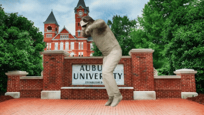 A Man Is Jumping In Front Of The Aubu University Sign GIF