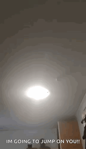 A Man Is Jumping In The Air With The Words `` I 'M Going To Jump On You ! '' GIF