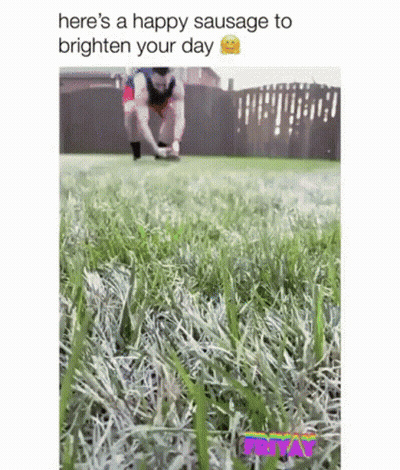 A Man Is Jumping In The Grass With A Happy Sausage To Brighten Your Day . GIF